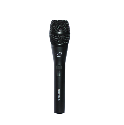 Micro CAF P306