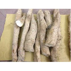 1kg Khoai Mài Tươi