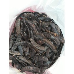 Dầu gọi Bồ Kết Thảo Dược tự nhiên