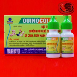 SHOP THUỐC GÀ ĐÁ. QUINOCOLI phân xanh, phân trắng cho gà đá 1 HỘP 10 lọ