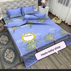 (2m2 x 2m) Sét 5 món Chăn hè thu Cotton kèm ga chun, 2 vỏ gối nằm, 1 vỏ gối ôm – S5M