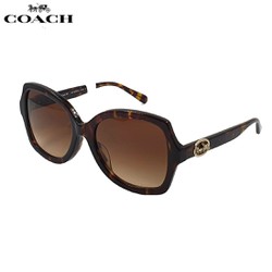 Kính mát, mắt kính coach hc8295f chính hãng