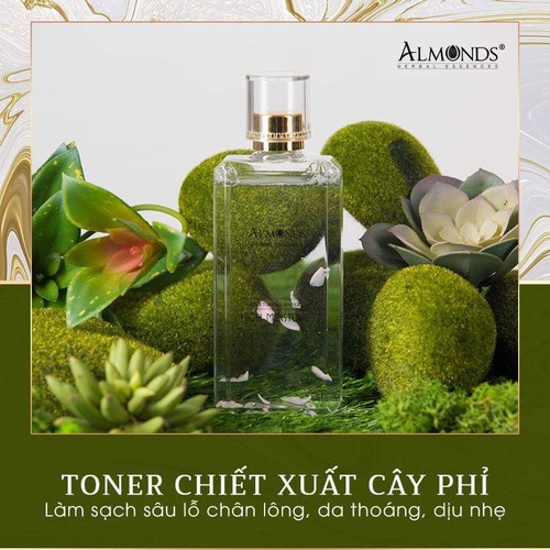 TONER NƯỚC CÂY PHỈ ALMOND