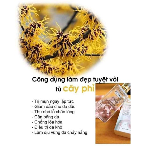 TONER NƯỚC CÂY PHỈ ALMOND