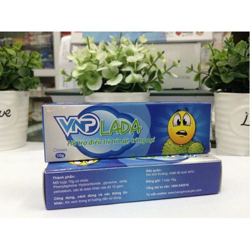 Kem Bôi Trĩ Vnp Lada