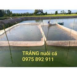 tráng nuôi ốc nhồi , cá ếch - loại 30m vuông sâu 1,5m