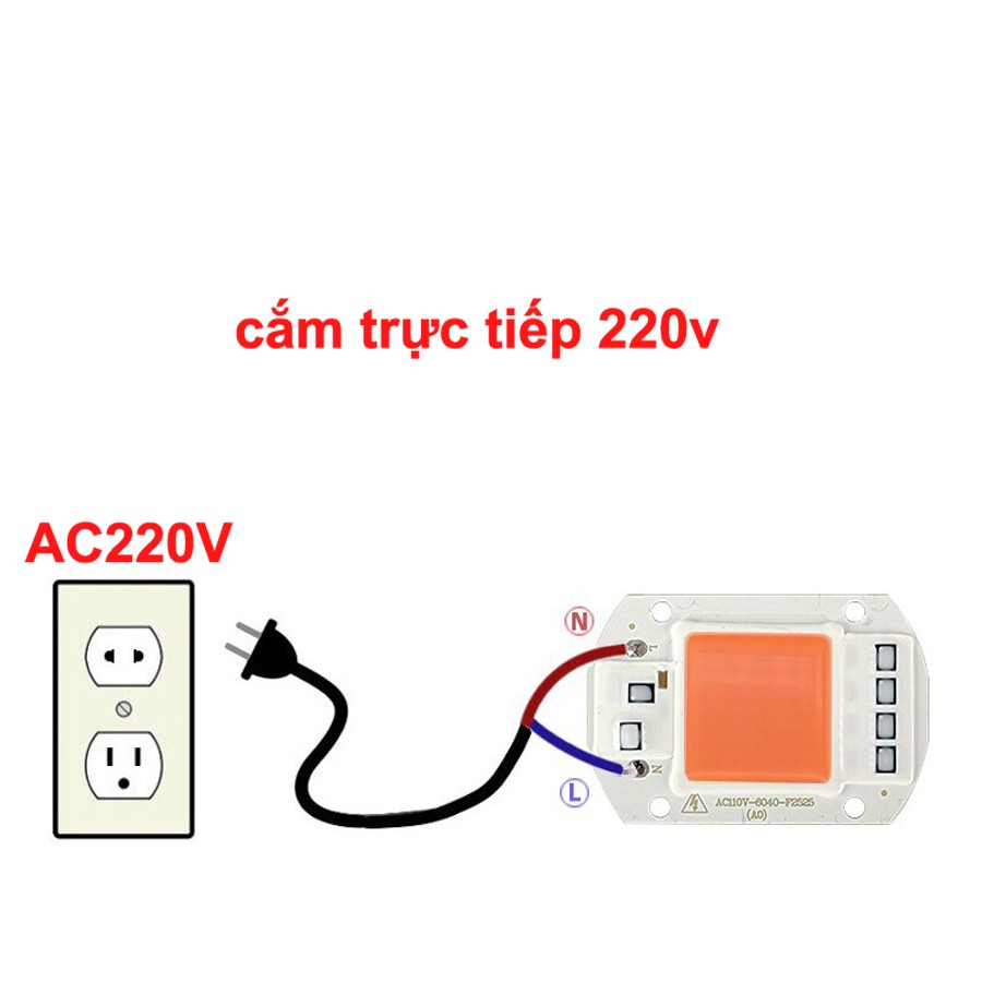 Hình ảnh chip LED cob quang phổ toàn phần trồng cây nhà lưới công suất 20w hàng tốt