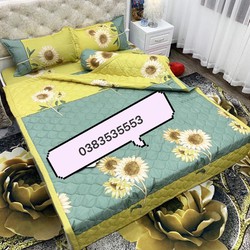 (1m6 x 2m) Sét 5 món Chăn hè thu Cotton kèm ga chun, 2 vỏ gối nằm, 1 vỏ gối ôm – S5M6