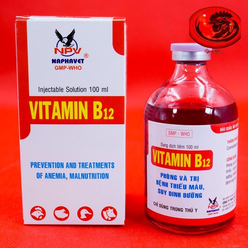 THUỐC NUÔI GÀ ĐÁ. VITAMIN B12 cho gà đá CHAI 100ML