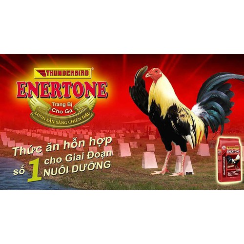 THUỐC NUÔI GÀ ĐÁ. VITAMIN B12 cho gà đá CHAI 100ML