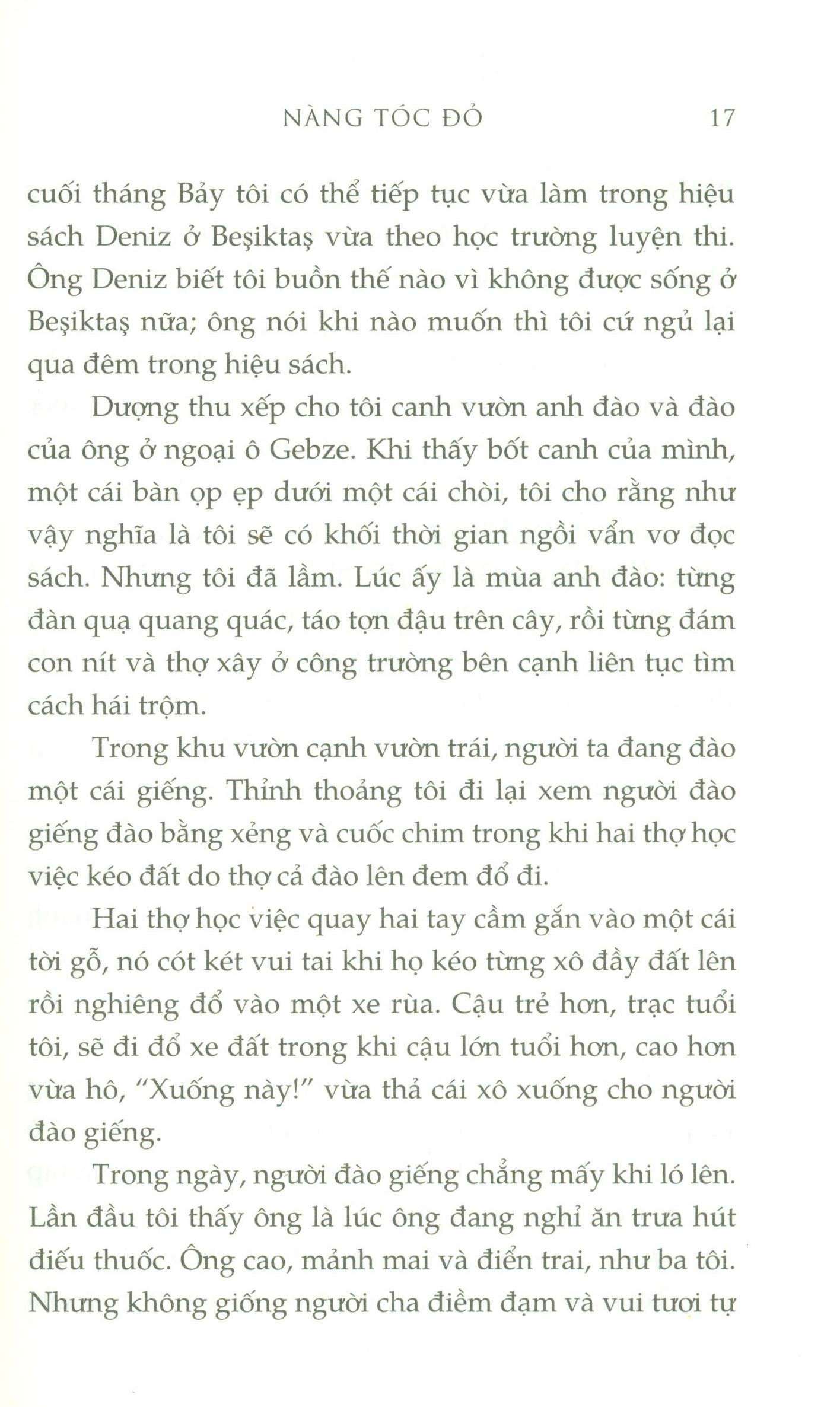 Nàng Tóc Đỏ