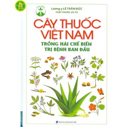 Cây Thuốc Việt Nam Trồng Hái Chế Biến Trị Bệnh Ban Đầu