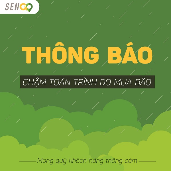 Thông báo chậm toàn trình do mưa bão