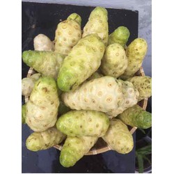 Quả nhàu tươi ( 1kg )
