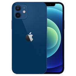 Điện thoại Iphone 12 - 256GB, 6.1 inch