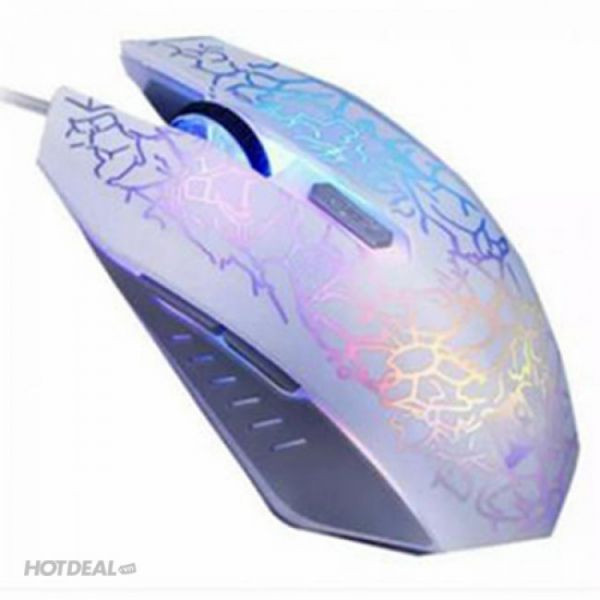 CHUỘT R8 1603