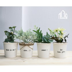 Chậu cây mini xinh xắn