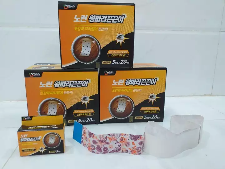 Keo bẫy thằn lằn