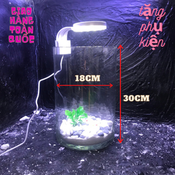 Bể cá mini để bàn kèm phụ kiện tiểu cảnh phân loại combo có hồ lọc đèn- bể cá mini - bế cá trụ tròn - ống thủy tinh Bể cá mini để bàn kèm phụ kiện tiểu cảnh phân loại combo có hồ lọc đèn- bể cá mini - bế cá trụ tròn - ống thủy tinh