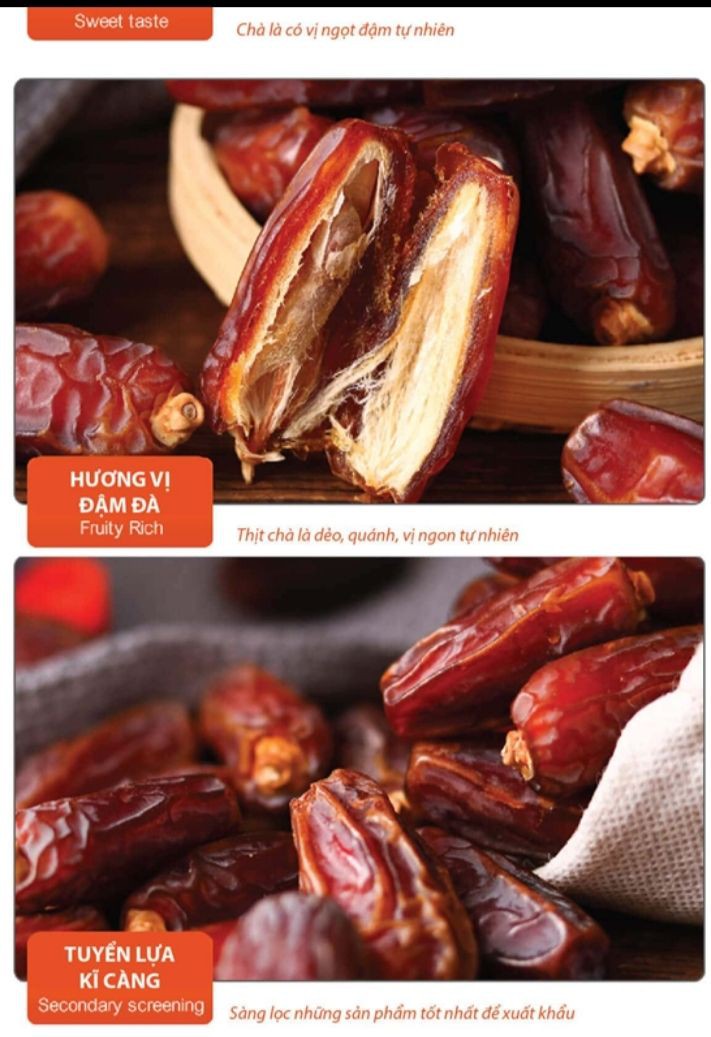 CHÀ LÀ SẤY KHÔ NGUYÊN CÀNH ISRAEL - Hộp 500GR (DATE MỚI)