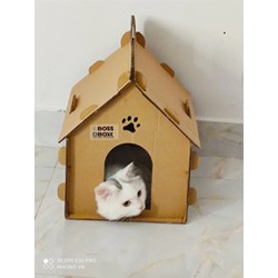Nhà hộp giấy cứng đẹp cho mèo