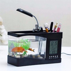 bể cá cảnh mini - be ca canh mini loai to