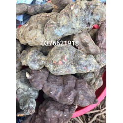 1kg hà thủ ô tươi chuẩn xịn 100%
