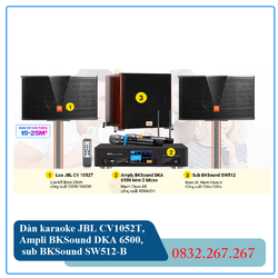 Loa sub BKSound SW512-B