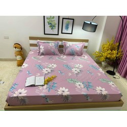 ga chống thấm coton cao cấp