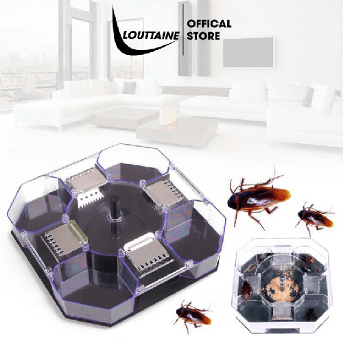 Dụng cụ bắt gián  Hộp bẫy gián