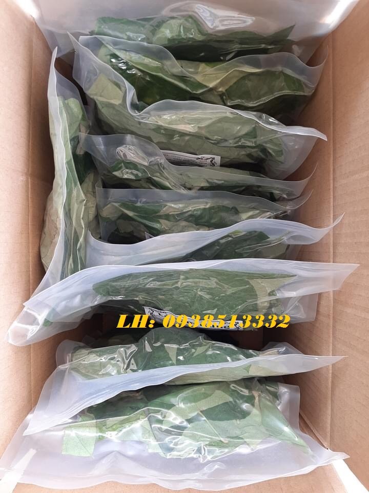 400gr LÁ SƯƠNG SÂM LÔNG KHÔ LÀM THẠCH SƯƠNG SÂM KÈM NANG MỰC