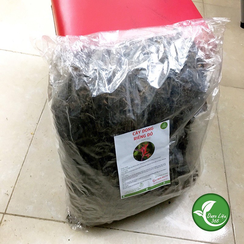 Cây dong riềng đỏ - gói 1kg - DL162