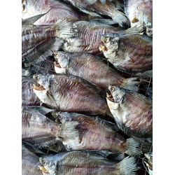 0,5kg khô cá bổi lạc 10c 12c 1 kg