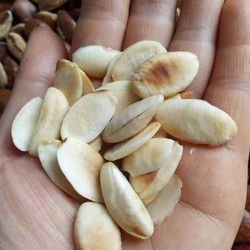 1kg hạt kơ nia rang chín daklak