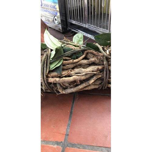 Sâm Xuyên Đá Hà Giang 1KG