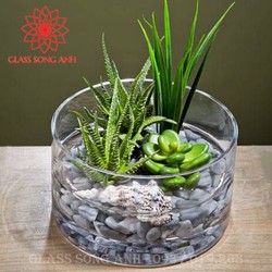 Bình bông thủy tinh trang trí D20x10, Bình cắm hoa thủy tinh trụ, lọ hoa hình trụ, ống trụ tròn Bình bông thủy tinh trang trí D20x10, Bình cắm hoa thủy tinh trụ, lọ hoa hình trụ, ống trụ tròn