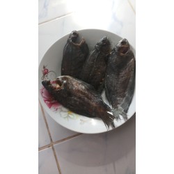 đặc sản khô cá sặc 1 nắng