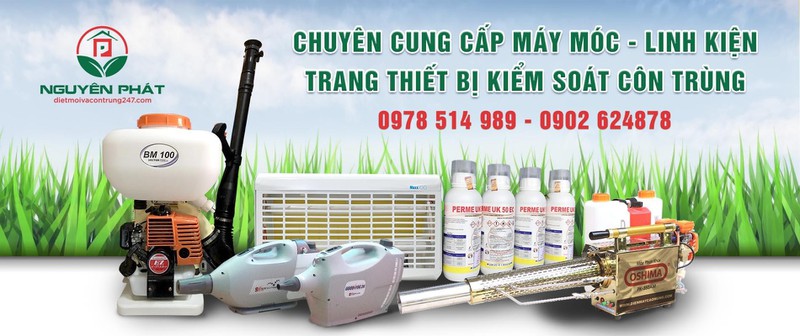 Thuốc phòng mối PMS 100CP
