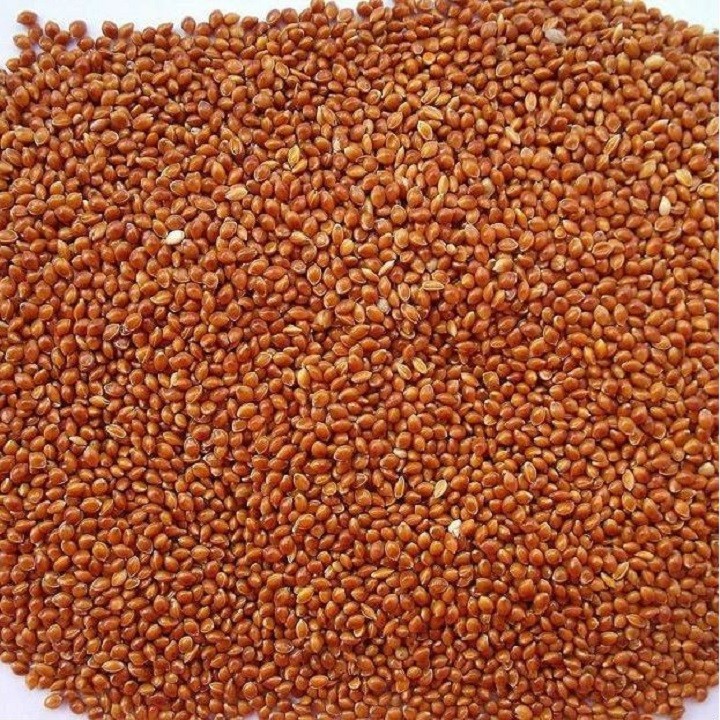 500gr HẠT KÊ BÓNG ĐỎ