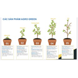agro green