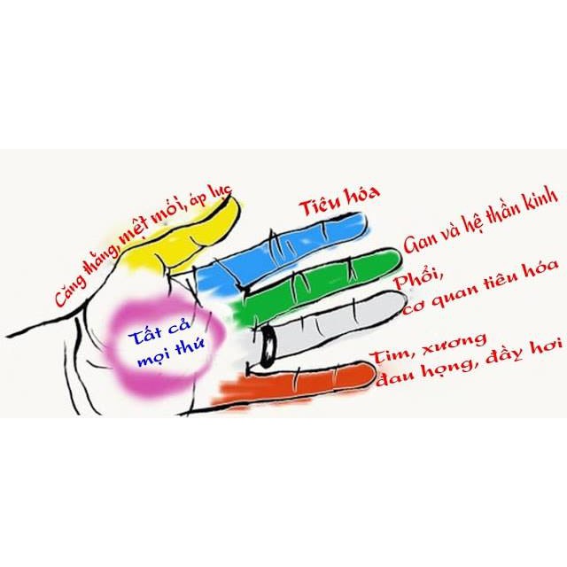 Bi cầu lăn tay gỗ hương Massage huyệt đạo bàn tay - Đường kinh 5mm. - 3835147476 3