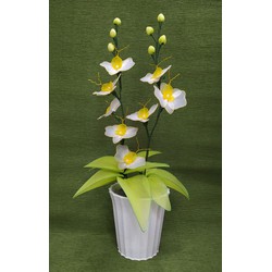 Hoa Lan vải voan handmade