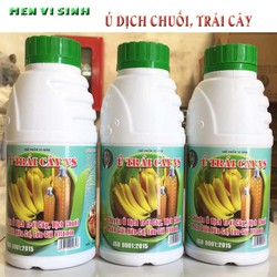 Men Vi Sinh: Ủ DỊCH CHUỐI, Trái Cây Làm Phân Bón - Nhanh,Đơn Giản, Hiệu Quả - Chai 500ml Men Vi Sinh: Ủ DỊCH CHUỐI, Trái Cây Làm Phân Bón - Nhanh,Đơn Giản, Hiệu Quả - Chai 500ml