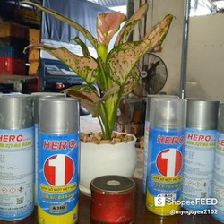 sơn xịt số 1