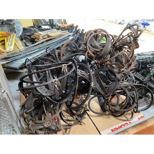 10 Bẫy Cạm Kiềng số 14cm có bàn 10 cái