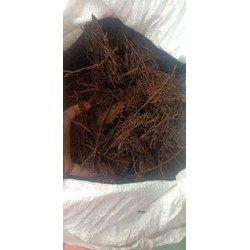 1kg dớn cụ vụn trồng Lan