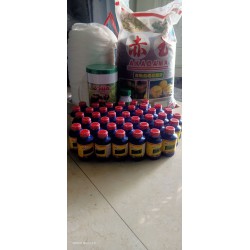 Vitamin B1 xanh Thái 500ml có hướng dẫn tiếng Việt