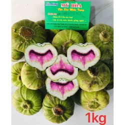Trái Vả Huế