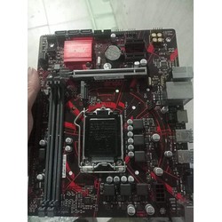 b365m v5 bảo hành 22 tháng