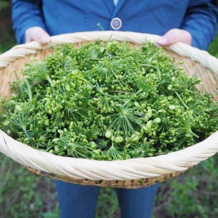 Trà hoa sâm hàn quốc bịch 500g